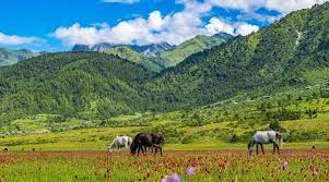 Dhotpatan Shaman Trek